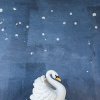 Juguete de Baño Cisne Blanco - Imagen 9