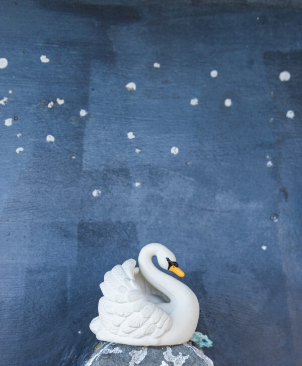Juguete de Baño Cisne Blanco - Imagen 9