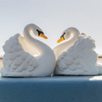Juguete de Baño Cisne Blanco - Imagen 10