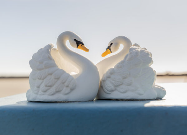 Juguete de Baño Cisne Blanco - Imagen 10