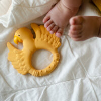 Mordedor Loro Amarillo - Imagen 5