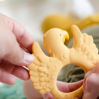 Mordedor Loro Amarillo - Imagen 4