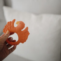 Mordedor Loro Naranja - Imagen 5