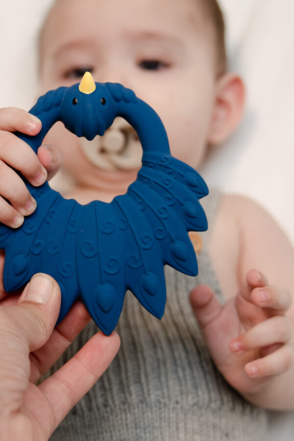 Mordedor Pavo Real Azul - Imagen 3