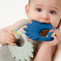 Mordedor Pavo Real Azul - Imagen 2