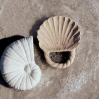 Sets Juguetes Pack 2 Unidades Concha+Nautilus - Imagen 9