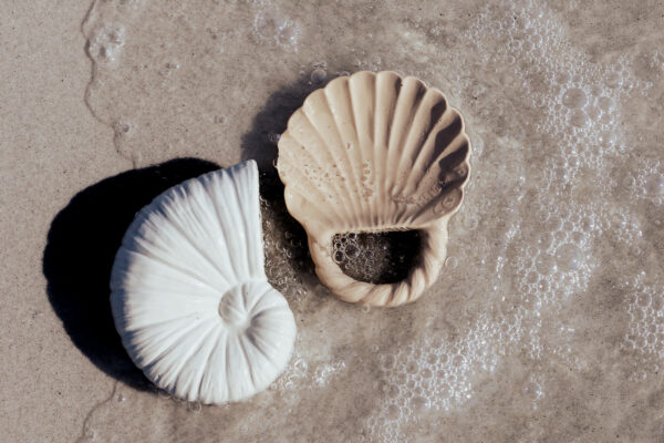 Sets Juguetes Pack 2 Unidades Concha+Nautilus - Imagen 9