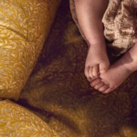 Deluxe+ Pod Golden Willow - Imagen 7