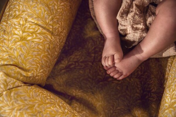 Deluxe+ Pod Golden Willow - Imagen 7