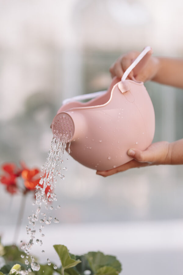 Regadera Pink - Imagen 2
