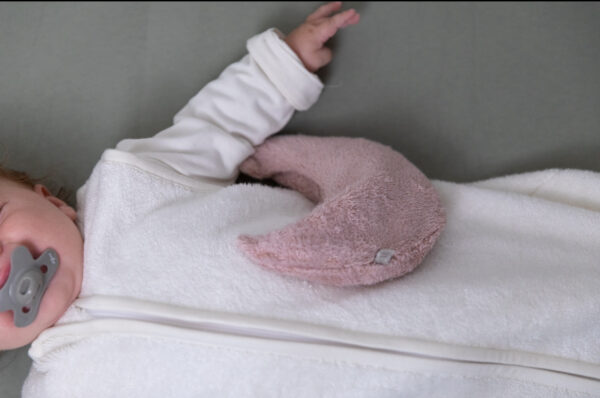 Saquito de Semillas Misty rose - Imagen 4