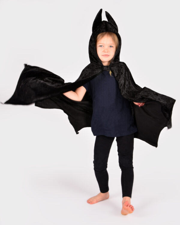CAPA BATMAN - Imagen 2