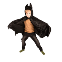 CAPA BATMAN