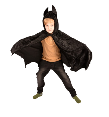 CAPA BATMAN