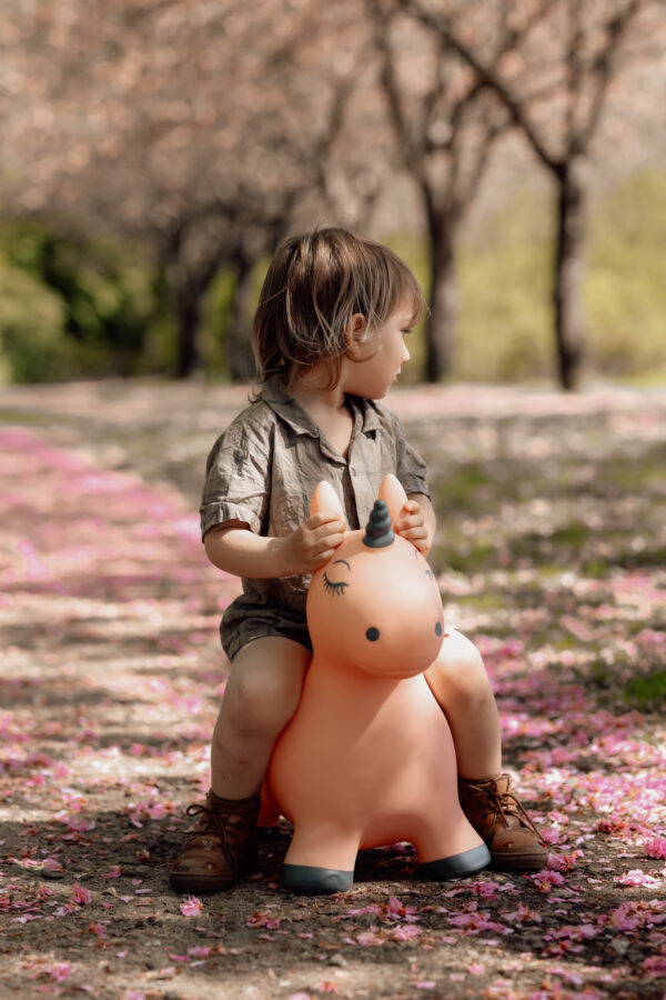 Animal saltarín Unicornio - Imagen 3