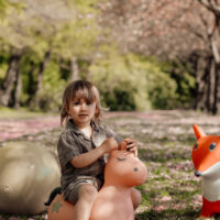 Animal saltarín Unicornio - Imagen 4