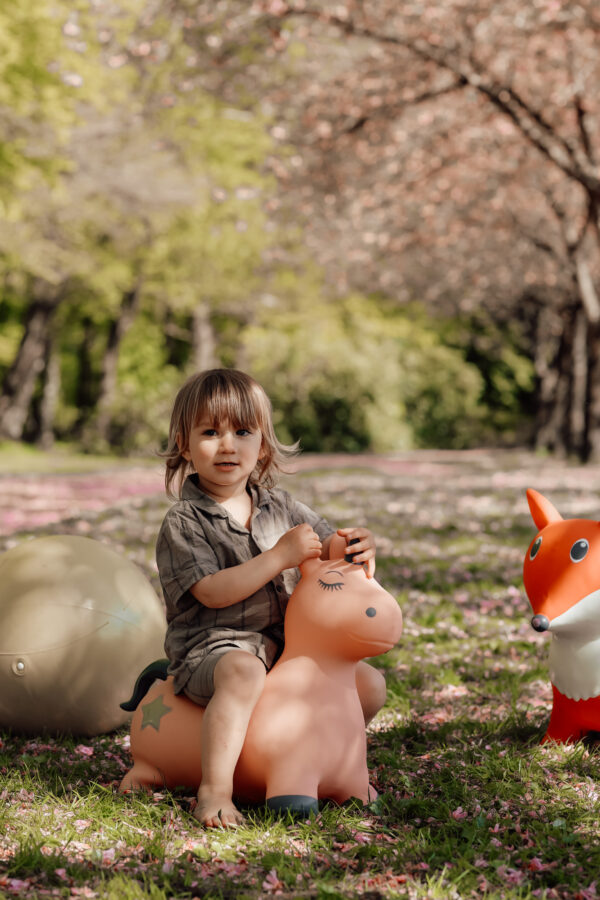 Animal saltarín Unicornio - Imagen 4