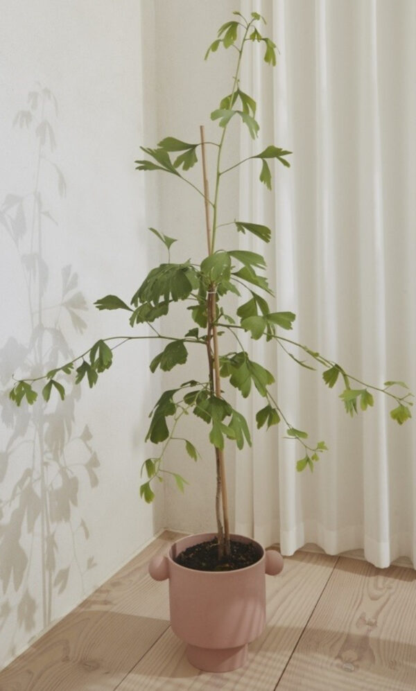 Macetero Inka Kana Pot Rose Large - Imagen 2