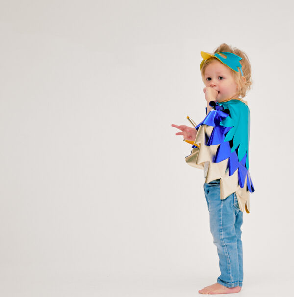 SET PÁJARO AZUL - Imagen 2
