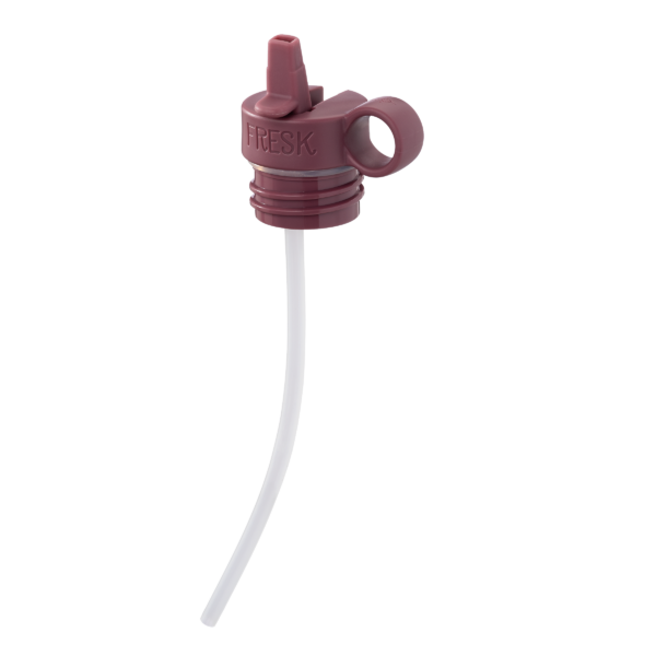 RECAMBIO TAPÓN TERMO FRESK - BURGUNDY - Imagen 3