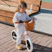 BICI DE EQUILIBRIO PREMIUM PINK - Imagen 5