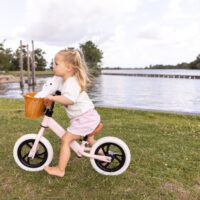 BICI DE EQUILIBRIO PREMIUM PINK - Imagen 3