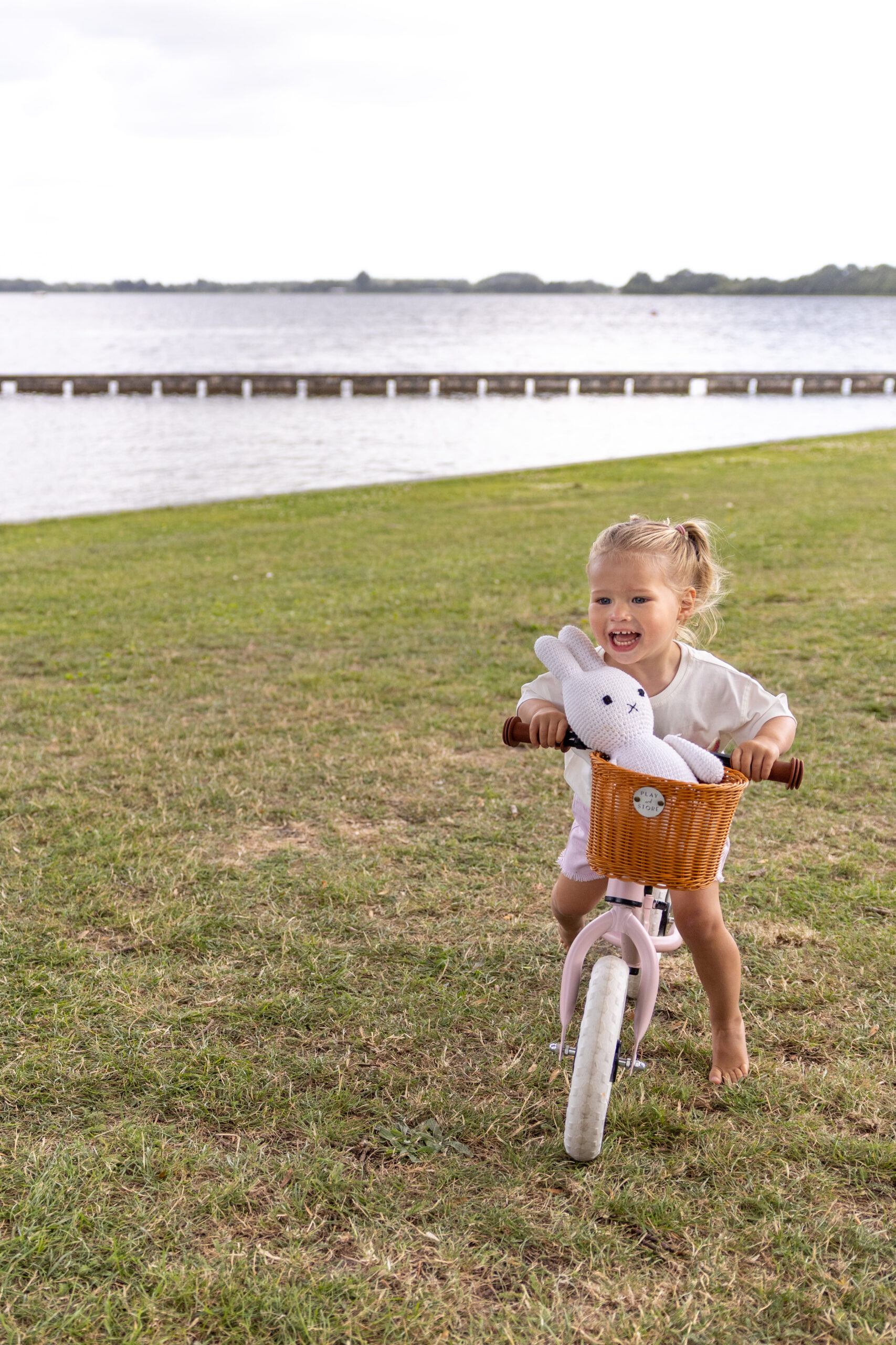 BICI DE EQUILIBRIO PREMIUM PINK - Imagen 4