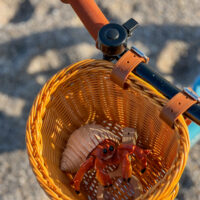 SET CESTA + TIMBRE - Imagen 9