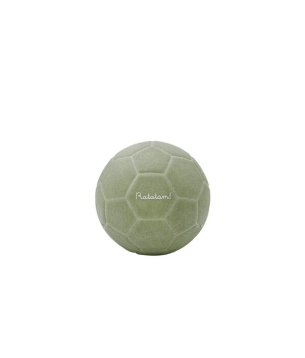 Pelota + bolsa de red verde