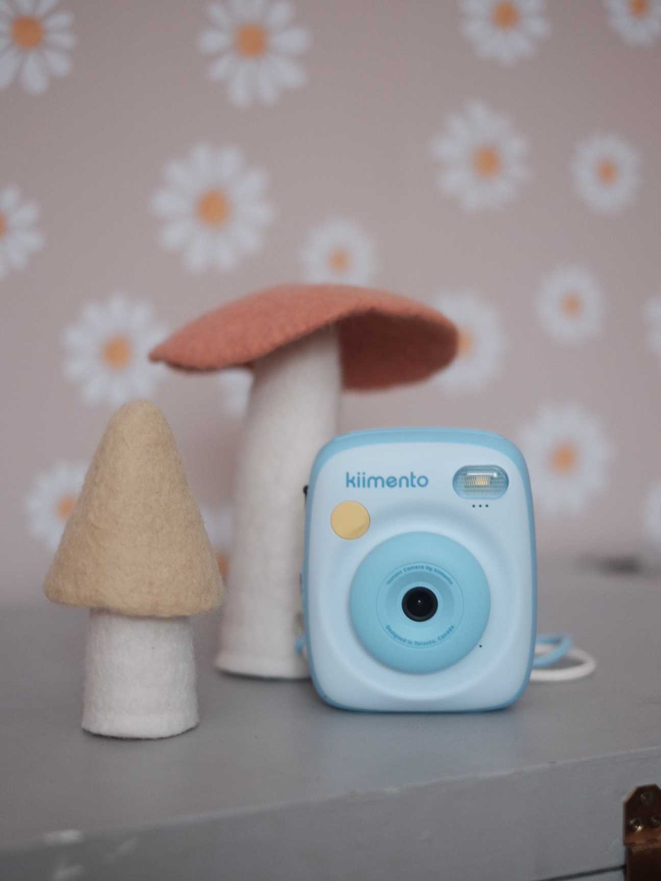 CAMARA DE IMPRESIÓN - AZUL - Imagen 7