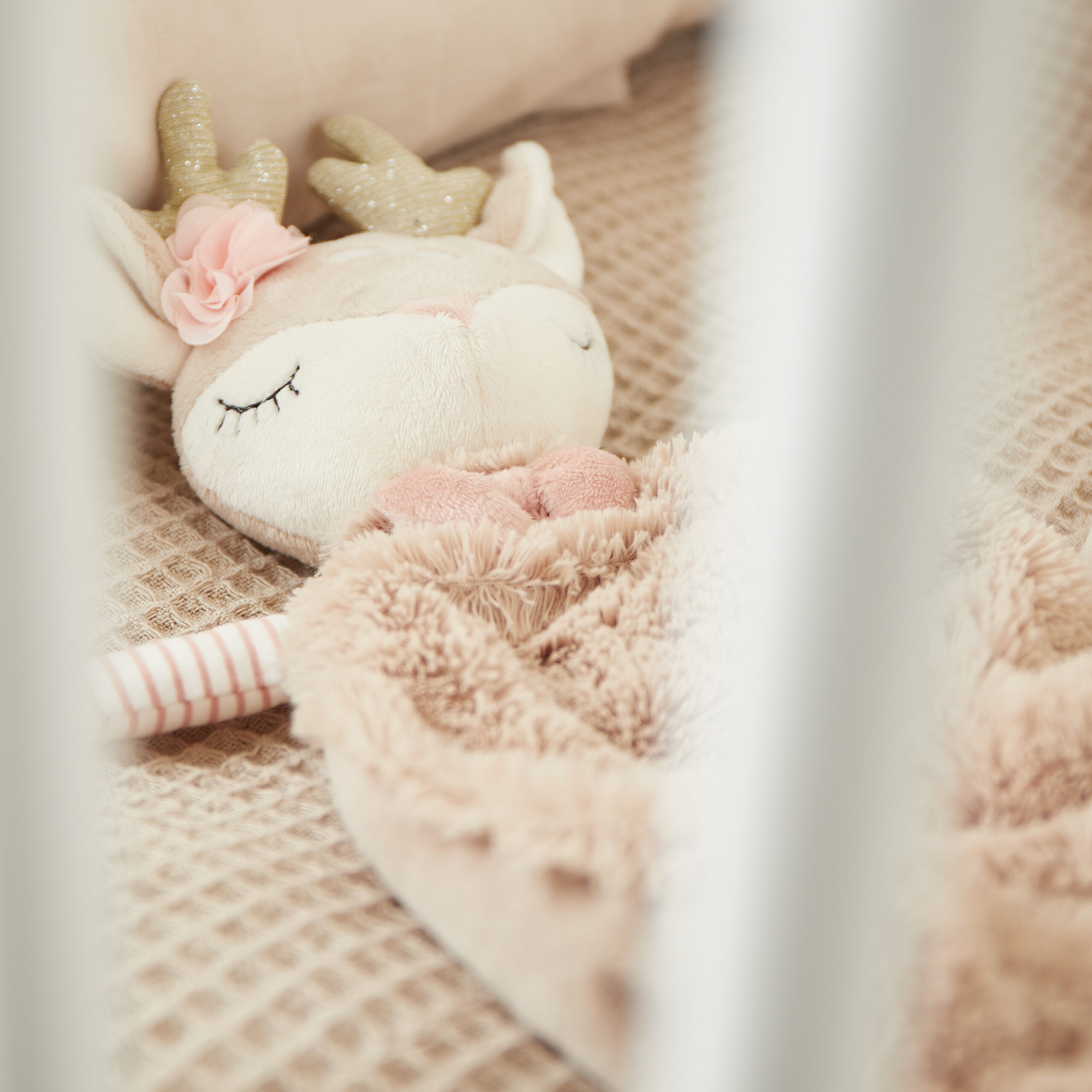 Doudou Cierva Ella - Imagen 6